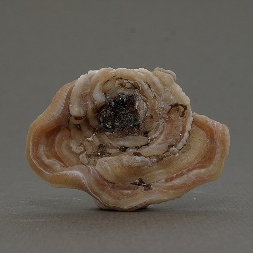 Chalcedon (kamenná růže) — foto 1