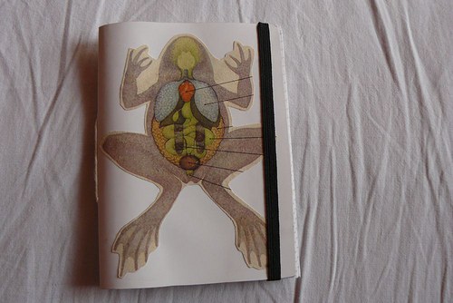 Žabákový / notes — foto 1