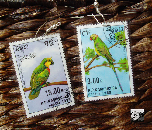 Papouščí duo — foto 1