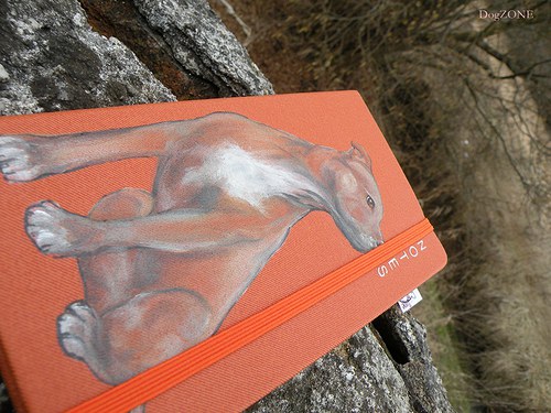 Staffie ... notes 50% sleva — foto 1