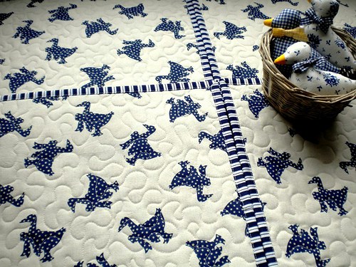 Blue Geese — foto 1