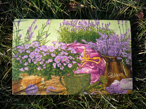 Fialová Bloom — foto 1