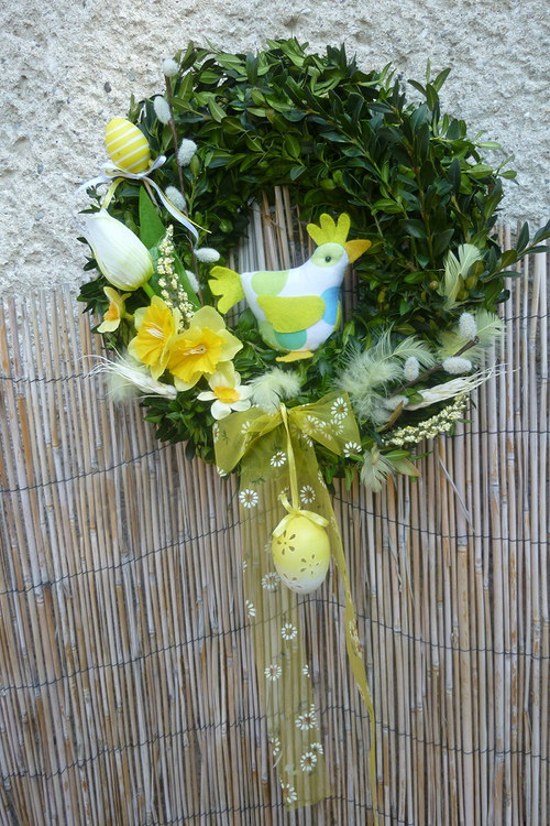 Buxus — foto 1