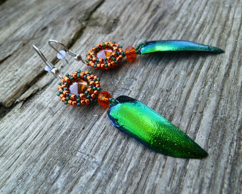 Metallic beetle — foto 1