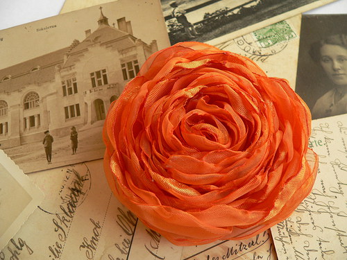Where the wild roses grow — foto 1