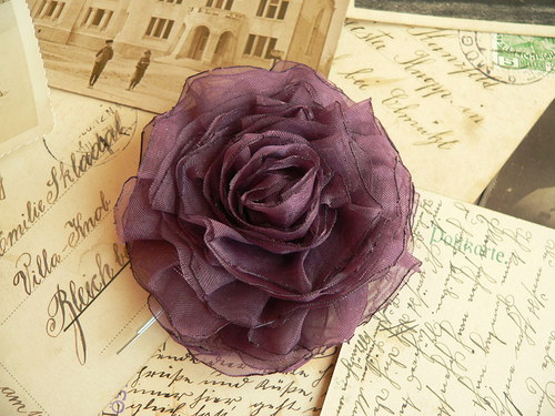 Where the wild roses grow — foto 1