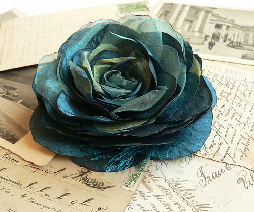 Where the wild roses grow — foto 1