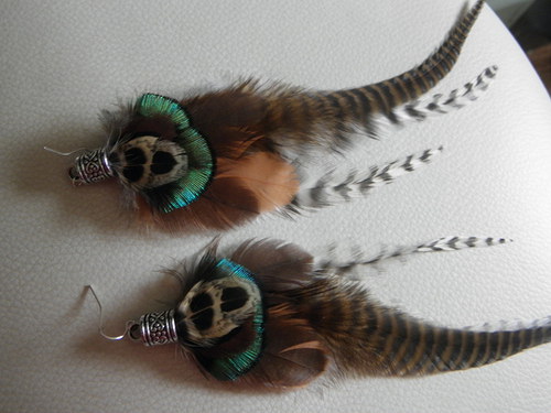 Pheasant — foto 1