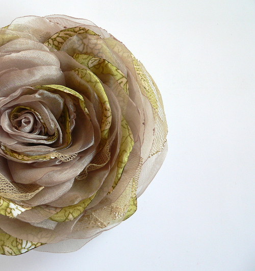 Where the wild roses grow — foto 1