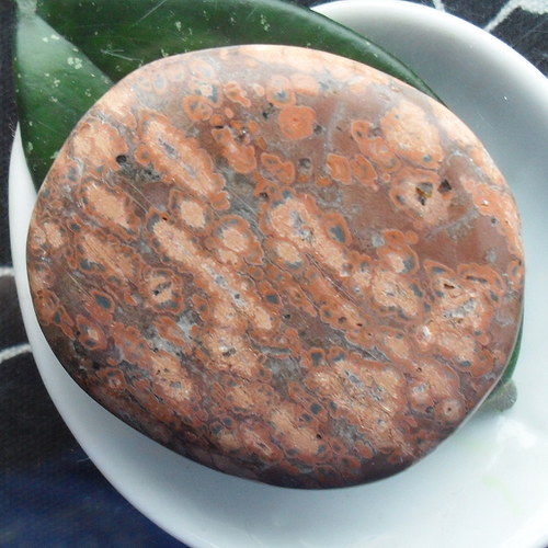 Jaspis leopard 43x38x10mm — foto 1
