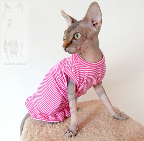 Tričko pro Sphynx — foto 1