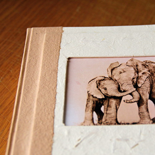 Fotoalbum se slony — foto 1