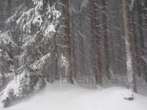 Poslední Řádění Února — foto 1