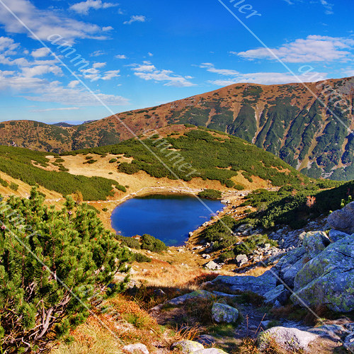 Roháčské pleso