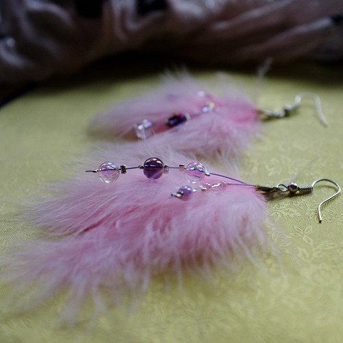 Citywings - Spring edition - Rosehip flower — foto 1