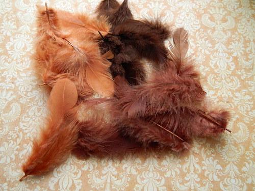 Peříčka — foto 1