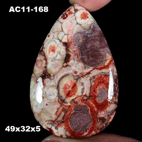 Ptačí očka- Cabochon — foto 1