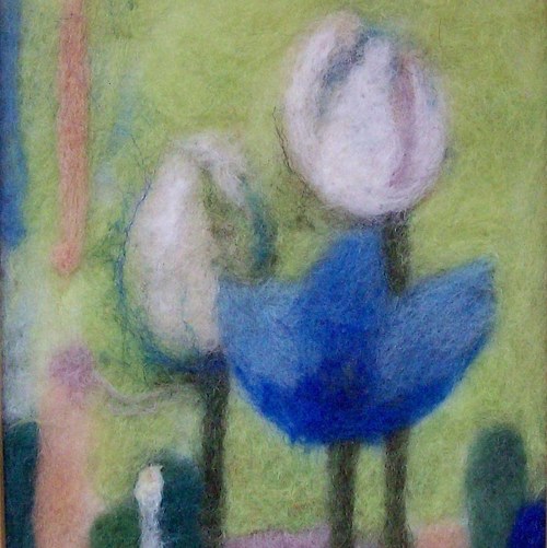 Modrý tulipán — foto 1