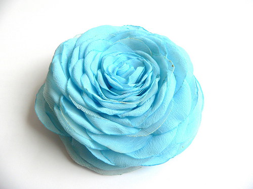 Where the wild roses grow — foto 1