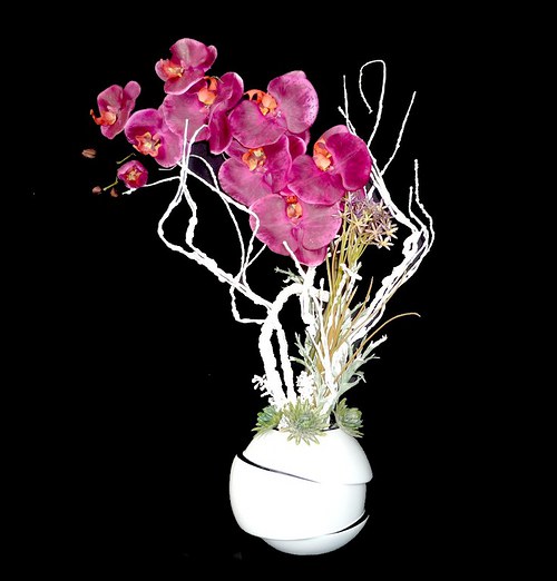 Dekorace Bordeaux orchidea — foto 1