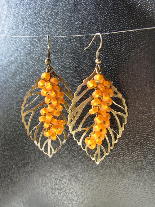 Hippophae rhamnoides — foto 1