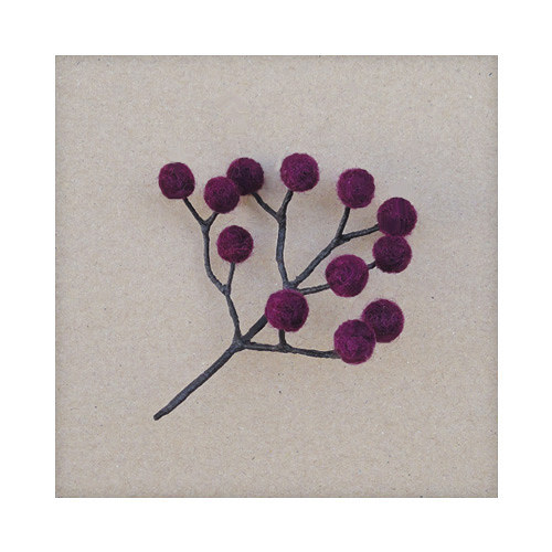 Bez bobulo brož (Sambucus nigra) — foto 1