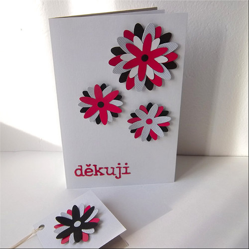 Děkuji — foto 1