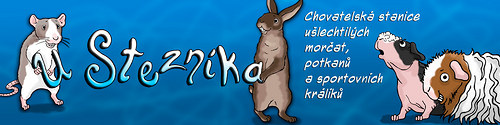 Banerek na web pro Kratan — foto 1
