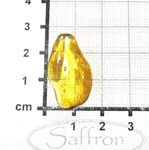 Přírodní Jantar - Litva č.4 — foto 1