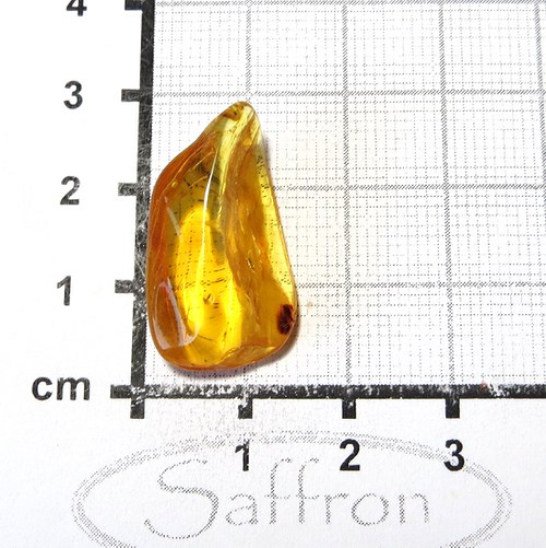 Přírodní Jantar - Litva č.6 — foto 1