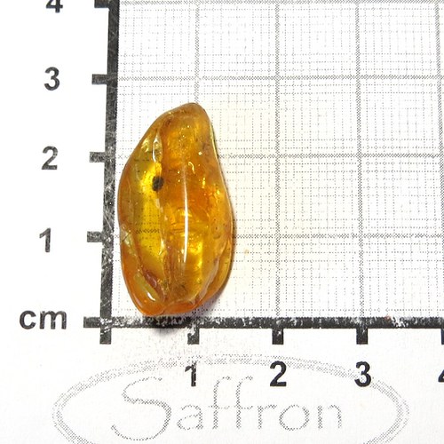 Přírodní Jantar - Litva č.7 — foto 1