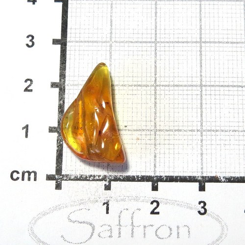 Přírodní Jantar - Litva č.9 — foto 1