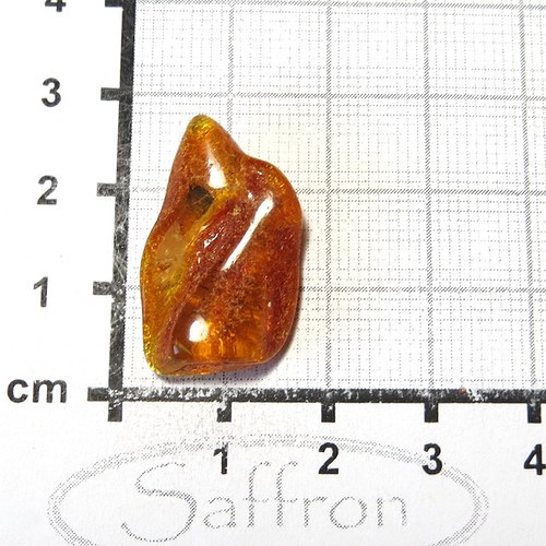 Přírodní Jantar - Litva č.10 — foto 1