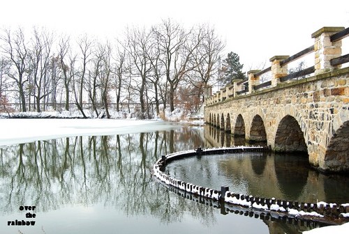143. Winter reflections - autorská fotografie