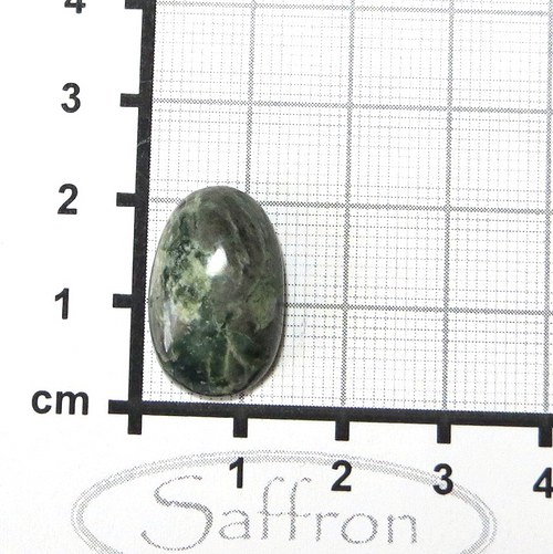 Serpentinit s živcem, kabošon č.7 — foto 1