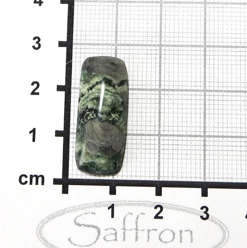 Serpentinit s živcem, kabošon č.10 — foto 1