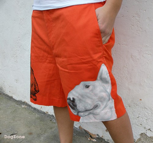Bulík v Orange County... unisex kraťasy — foto 1