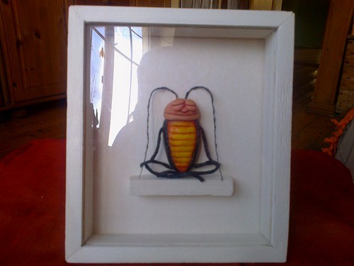 Meditační brouček — foto 1