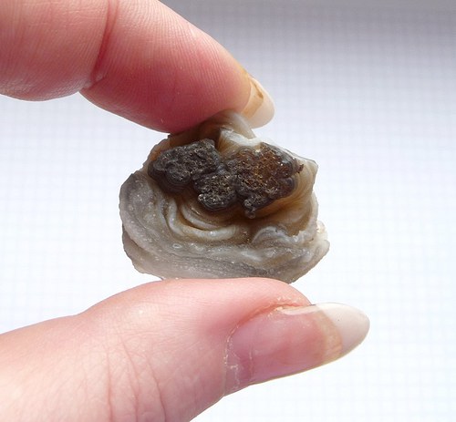 Chalcedonová růže s drůzou (hadí oko)