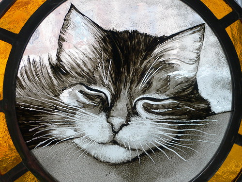 Kocour Mikin