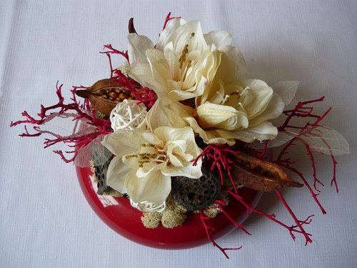 Amaryllis v červeném... — foto 1