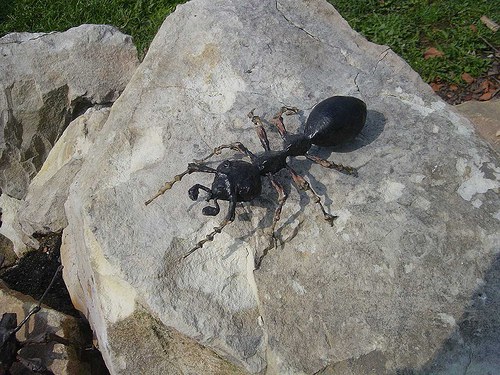Mravenec z papíru — foto 1