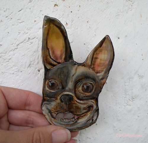 Frenchie chacháá .... brožka — foto 1