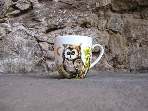 Sova ušatá — foto 1