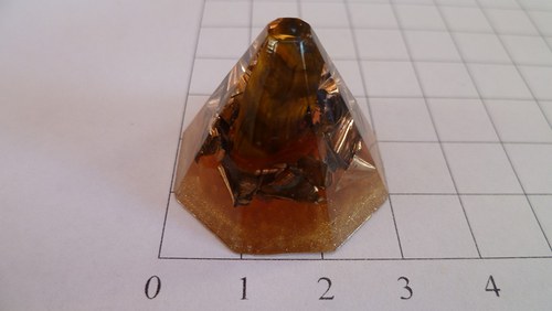 Jehlan tygří oko — foto 1