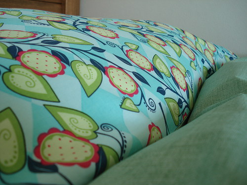 Popínavka aqua — foto 1