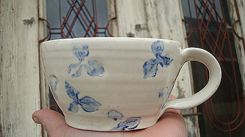 Modré tapetky — foto 1