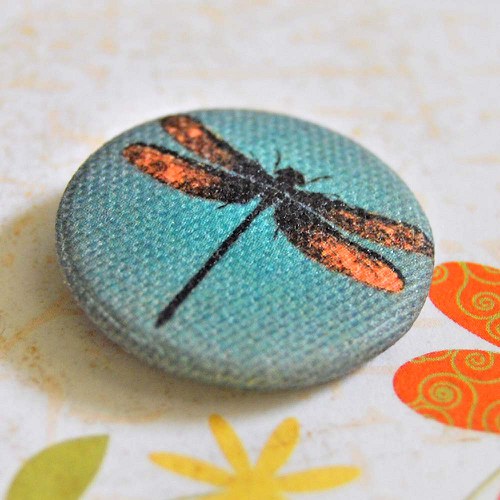 Dragonfly — foto 1