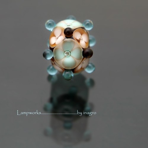 Marronia vinutka 2 — foto 1