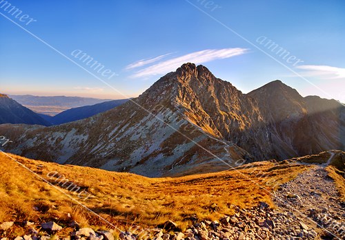 Ostrý Roháč